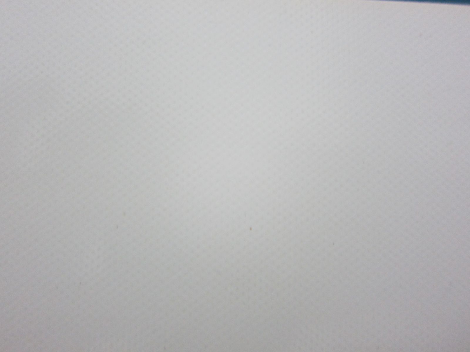Băng tải PVC trắng 4 mm