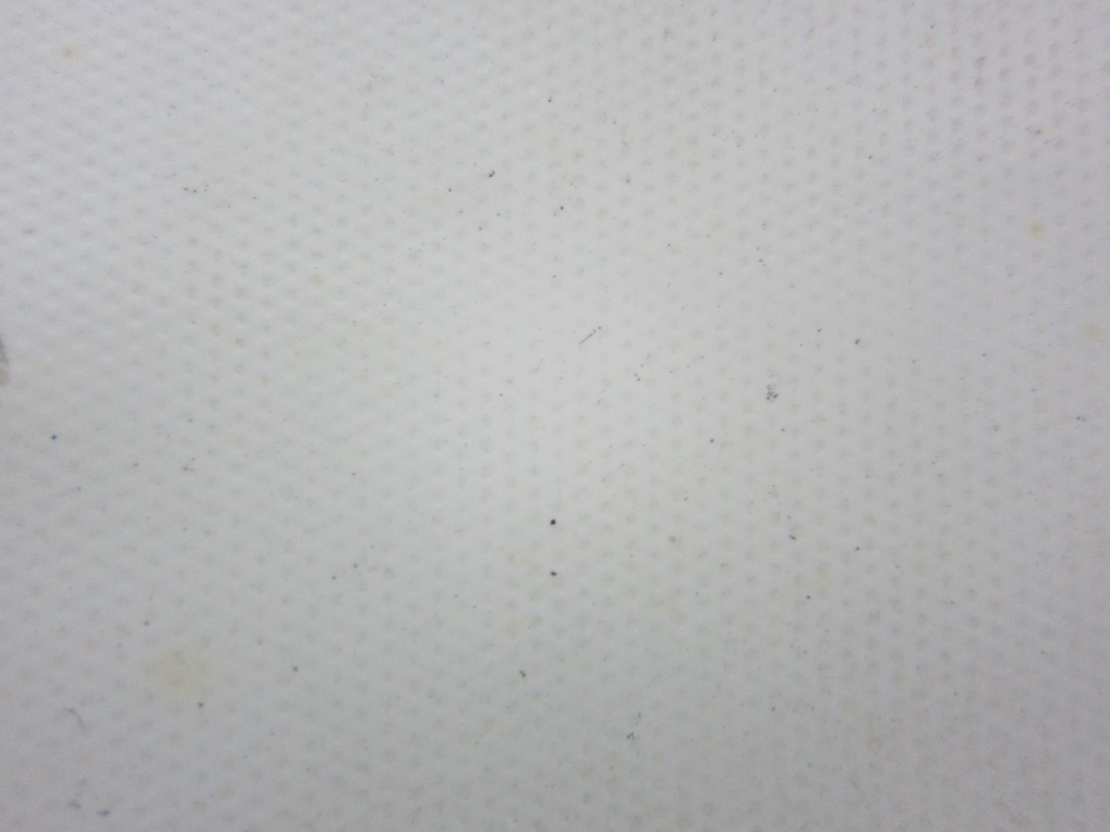 Băng tải PU trắng 1.5 mm