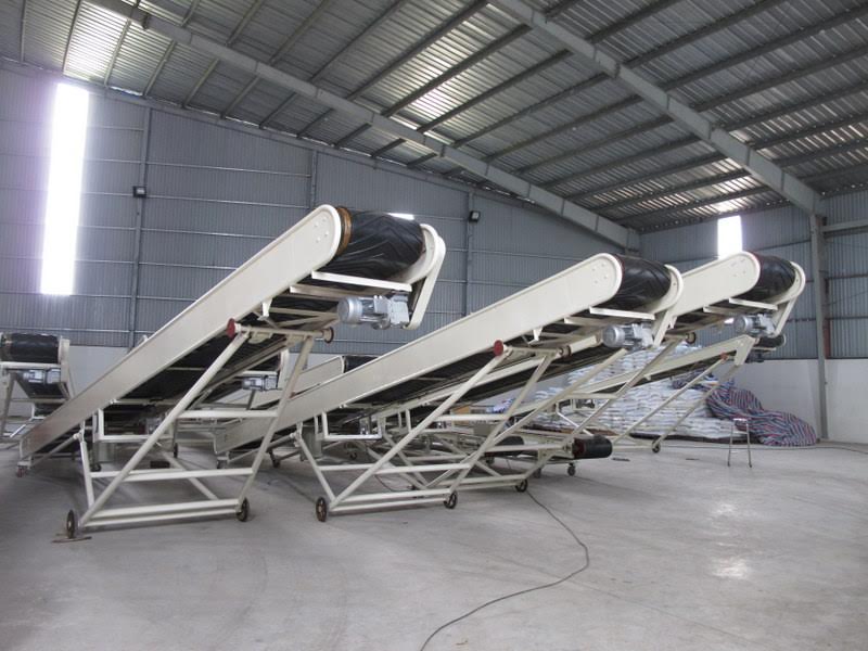 Băng tải nâng hạ 09